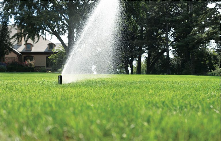 Beregeningssysteem voor de tuin hoe aanleggen? TuinVragen.nl